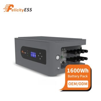 Felicityess 1.6kwh Home Use LiFePO4 Li-ion Battery with Micro Inverter Solar Power Balcony Energy Storage System - Guangzhou Felicity Solar Technology Co., Ltd. - China