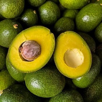 Organic Fresh Avocado, Premium Grade, Nutrient-Rich Fruit, Perfect for Cooking & Healthy Eating from EAST LAND PROPERTIES Organic Fresh Avocado, Premium Grade, Nutrient-Rich Fruit, Perfect for Cooking & Healthy Eating - EAST LAND PROPERTIES - Tanzania