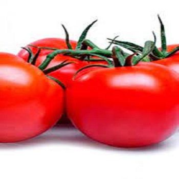 High Quality 100% Fresh Organic Tomatoes Fresh Beef Tomato Brand Red 10kg France 24 Months Shelf Life Premium - TRADECENTRIC LLC - United States