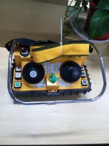 Henan Yuding F24-60 Joystick Wireless Remote Control for Hydraulic Crawler Cranes - Henan Dirk Electronic Co., Ltd. - China