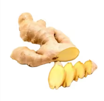 Fresh Ginger Grade A Moisture Level <12% Shelf Life 2–3 Months Form Washed / Unwashed Packaging 5kg / 10kg Cartons With Ventilation, bag - TRADE NEPAL LLC - United States
