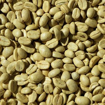 Cheap arabica coffee beans premium coffee supplies arabica coffee beans – product photo, Colombia Arabica Coffee Beans products found from trusted suppliers, wholesalers, manufacturers & exporters Listing