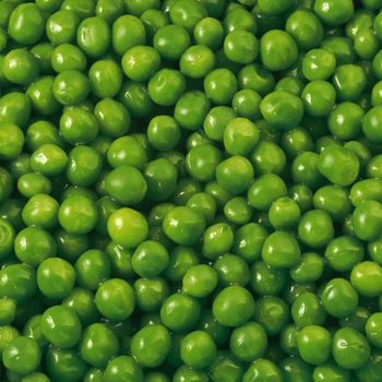 Whole Pigeon Peas & Wholesale Split Peas-Fresh 100% Natural Brazil Origin from AGRONOVA Whole Pigeon Peas & Wholesale Split Peas-Fresh 100% Natural Brazil Origin - AGRONOVA - United States