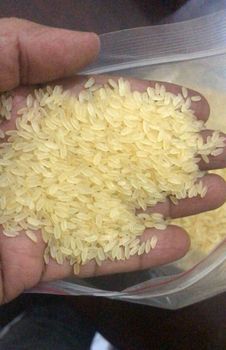 1121 Basmati Rice, 2% Broken, Premium Quality – product photo, Parboiled Broken Rice products found from trusted suppliers, wholesalers, manufacturers & exporters Listing