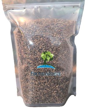 clean, shelled cardamom seeds from BIOMATOSA clean, shelled cardamom seeds - BIOMATOSA - Colombia
