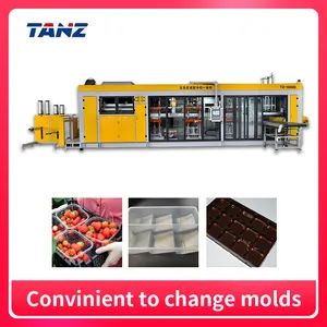 Disposable Plastic Bowl Plate Food Tray Thermoforming Making Machine - Dongguan Taizhang Machinery Co., Ltd. - China