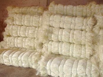 Sisal Fiber from PRIME FIELD AGRICULTURE LIMITED Sisal Fiber - PRIME FIELD AGRICULTURE LIMITED - United States