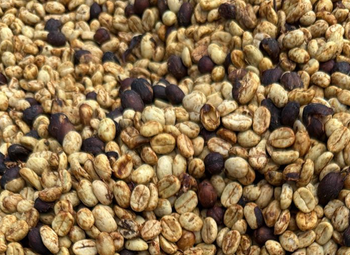Arabica Coffee (Panama origin) – product photo, Unwashed Arabica Coffee products found from trusted suppliers, wholesalers, manufacturers & exporters Listing