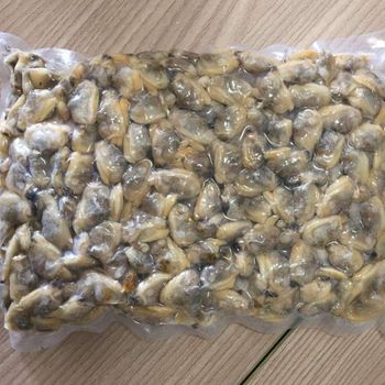 Frozen Mussel Meat 100% Natural Seafood Selection For International Buyers Supporting Diverse Seafood Menu Development - TOSOH INTERNATIONAL - South Africa