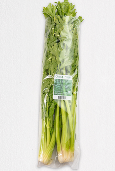 Celery Bunch Price 0.8 Per Bunch Product Weight >350g Export Origin Windhoek, Namibia Transport Temperature <5 Degrees - Oribi - South Africa