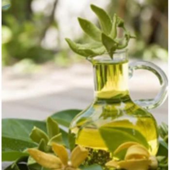Ylang Ylang Oil -  K2N Exports  - India