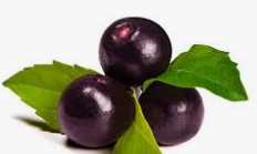 acai frozen berry Organic Yes Origin Brazil Minimum Order Quantity 2-5 X - E&M Trading & Logistics LLC - United States