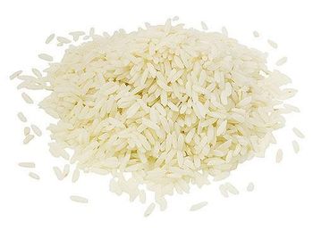 Rice Protein - BIOALTECH - Italy