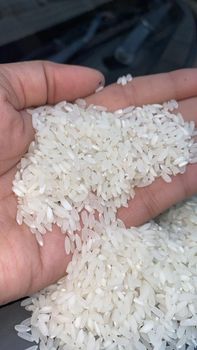 Swarna rice 5% broken raw - SRI GOVERDHAN - India