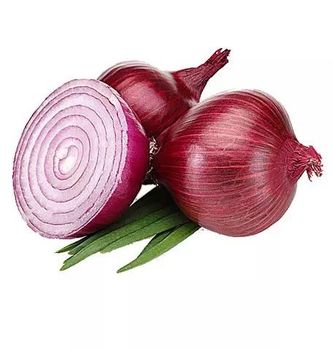 Fresh Red Onion Lowest Price - HIGHPROFILE AGRICULTURE SERVICES LIMITED - Tanzania