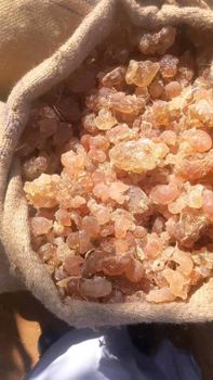 Arabic Gum from haykal Arabic Gum - haykal - India