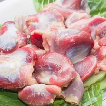 Best Price 100% High Chicken Muscle Gizzard Halal Frozen BQF Process Trans-Fat Free Nutritious Available Stock Fast from TRADECENTRIC LLC Best Price 100% High Chicken Muscle Gizzard Halal Frozen BQF Process Trans-Fat Free Nutritious Available Stock Fast - TRADECENTRIC LLC - United States