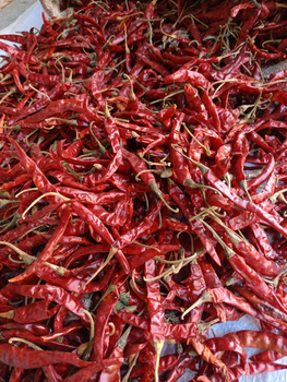 Premium Dried Red Chili Peppers – Export Grade Whole Dried Chili for Wholesale Supply - YA Corporation Co., Ltd. - Thailand