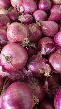 Onion Shallots - Rainbow Expotrust - India