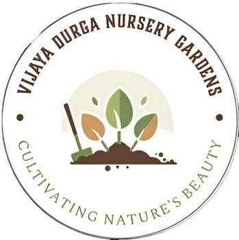 Vijaya Durga Nursery Gardens