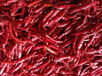 Red Chilli - Teja S17 Material Raw Shelf Life 12 months Place of Origin INDIA Max. Moisture (%) Below 12% Brand Name JRR - JRR INTERNATIONAL - India