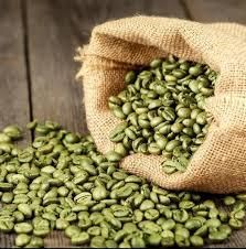 Fresh Coffee Bean Wholesale - AgronoMarket - United States