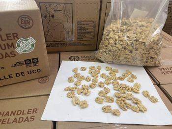 Organic Walnut Kernels from Wine and Food Concept GmbH Organic Walnut Kernels - Wine and Food Concept GmbH - Germany