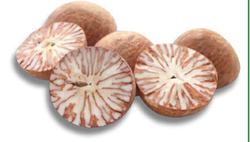 Split Betel Nut - PT Vale Agrovia Nusantara - Indonesia