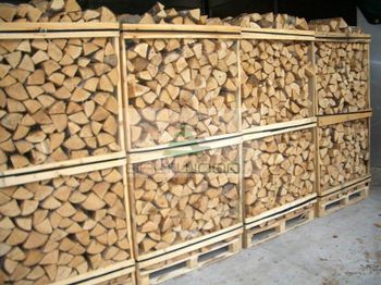 Olive FIREWOOD / High Quality Kiln Dried Firewood Oak from Smart Agri GmbH Olive FIREWOOD / High Quality Kiln Dried Firewood Oak - Smart Agri GmbH - Germany