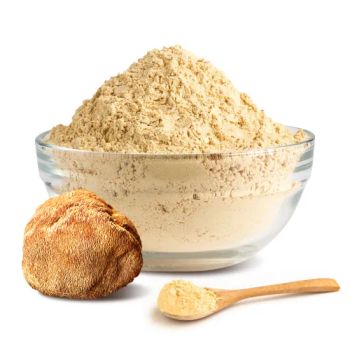 Hericium Erinaceus Extract Powder Lions Mane Mushroom Extract Medicinal Mushroom Extract - Fujan Herbal Treasure Bioengineering Co., Ltd. - China