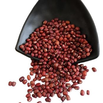 Organic Small Vaccum Packing Tianjin Adzuki Beans Bulk Organic Vigna Umbellata Small Round Red Bean Azuki Bean - Hebei Nihewan Agricultural Development Co., Ltd. - China