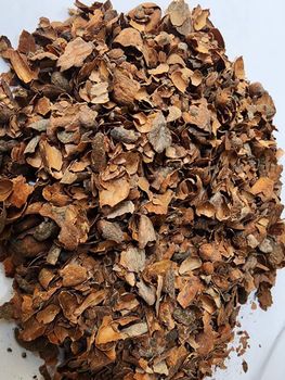 cocoa shell - GANZYUS INVESTMENTS LIMITED - Nigeria