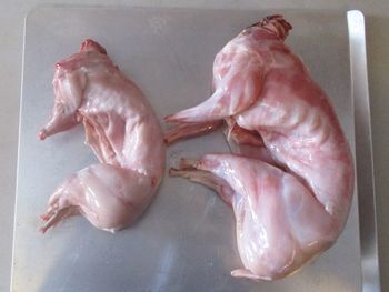 Carcass Rabbit Meat Price Top Quality Frozen Whole Rabbit Meat