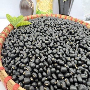Organic Dry Black Kidney Beans High Quality White Green Beans New Crop Available Wholesale Organic Cultivation Food Use from TRADECENTRIC LLC Organic Dry Black Kidney Beans High Quality White Green Beans New Crop Available Wholesale Organic Cultivation Food Use - TRADECENTRIC LLC - United States