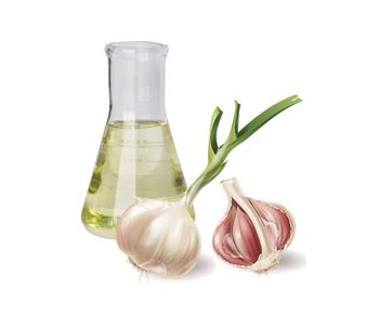 garlic oil - Anhui Yoogiva Industrial Co.,Ltd - China