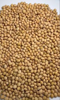 SOYBEANS – product photo, Soy Bean Seeds products found from trusted suppliers, wholesalers, manufacturers & exporters Listing