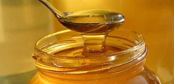 acaccia honey - agricultural holding Grujic - Serbia