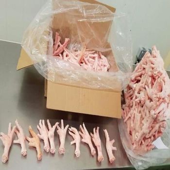 High Quality Frozen Chicken Feet Freshly Processed and Blast Frozen for Long Shelf Life - A.C.P. AGRICULTURE COMPANY LIMITED - Thailand