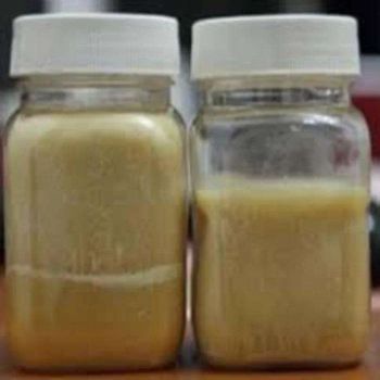 Crude Palm Kernel Oil (CPKO) from Malaysia. Ideal for oleochemicals, soaps, and biofuels. 100% vegetable-based, high lauric acid content - Smart Agri GmbH - Germany