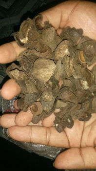 Palm Kernel Shell from HORAS GLOBAL CORP Palm Kernel Shell – product photo, Activated Palm Kernel Shell products found from trusted suppliers, wholesalers, manufacturers & exporters Listing