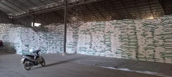 Arrowroot Starch, Canna Starch Brand Name TTL Packaging 25kh Place of Origin Laos Max. Moisture (%) 13% Product Type Arrowroot Starch - Lao TTL Agriculture And Industrial Development Co.,Ltd - Lao Peoples Democratic Republic