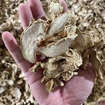 Dehydrated Ginger Slices Natural Flavor Bulk Supply for Food Processing Wholesale - Viet D.E.L.T.A Industrial Co.Ltd. - Vietnam