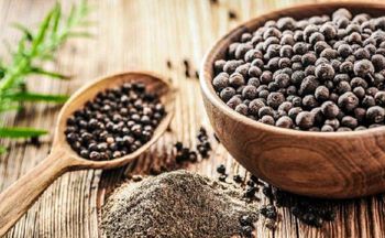 black pepper 550 GGL - marigold agro nusantara - Indonesia