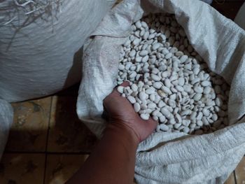 Jack Beans Grade A Type Dried Purity 98% Moisture <12 % Origin Indonesia Foreign Matter <2% Broken Damaged <2% Packaging 25kg Or 50kg Pp Bag - PT Kacang Jagung Nusantara - Indonesia