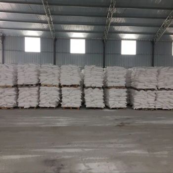 Kaolin Porcelain Clay Washed Clay Powder Kaolin for Ceramic Paint Ink / Printing - Hebei Best New Material Technology Co., Ltd. - China