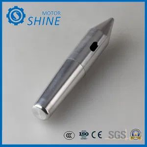 Pto Shafts CNC High Quality Precision Electric Motor Shaft Customized Metal Turned Parts - CHANGZHOU CZSHINEMOTOR CO., LTD. - China