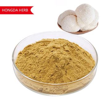 Factory Organic Hericium Erinaceus Extract Lion's Mane Mushroom Extract Lion's Mane Mushroom Powder With OEM Service - Shaanxi Hongda Phytochemistry Co., Ltd. - China