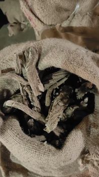 Costus root Kuth Qust al-Hindi Type costus root - TIANJIN LIESI INTERNATIONAL TRADING CO.,LTD - China