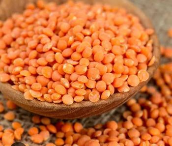 Red Lentil Bean - Dabheria foods exporter pvt ltd  - India