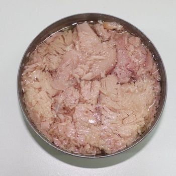 Premium Quality Canned Tuna In Oil With Rich Taste For Food Distributors Retail Chains And Large Scale Seafood Buyers Canned Tuna - malter group - Tanzania
